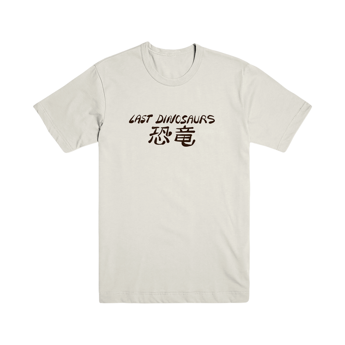'25 Americas Tour Tee