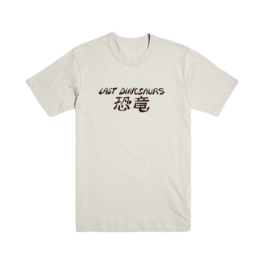 '25 Americas Tour Tee
