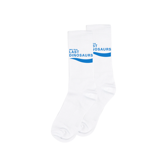 WELLNXSS Knit Socks (Blue/White)