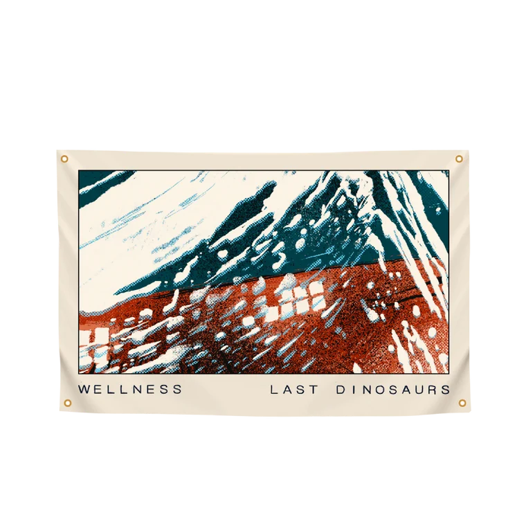 WELLNXSS Flag